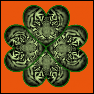 march tiger clover