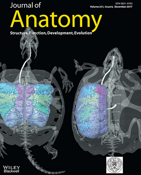 Journal of Anatomy