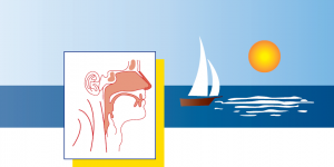 MICHAEL SEICSHNAYDRE, MD, FACS | The Center for Rhinology - Gulfport, Mississippi