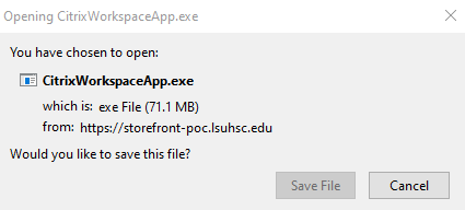 Citrix workspace firefox addon