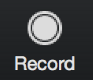 ZoomRecordButton