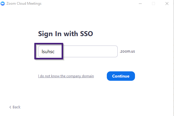 Zoom Sign In Domain