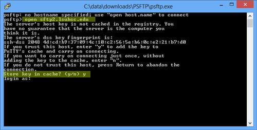 SFTP Login Screen:  accept host key with 'y' key
