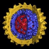 virus 2 image