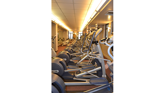 Cardio Equipment