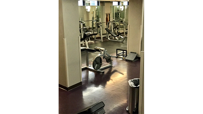 Free Weight Area