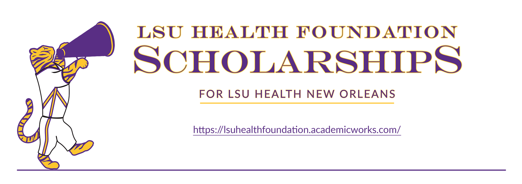 LSU Health Foundation's scholarship application website