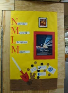 NMLM - Week 1 Display
