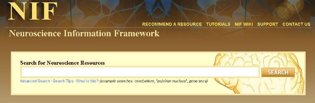 Neuroscience Information Framework