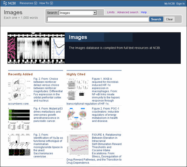 The Images database is compiled from full text resources at NCBI.