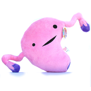 Plush uterus is not to scale
