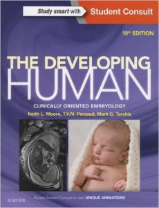 developing human