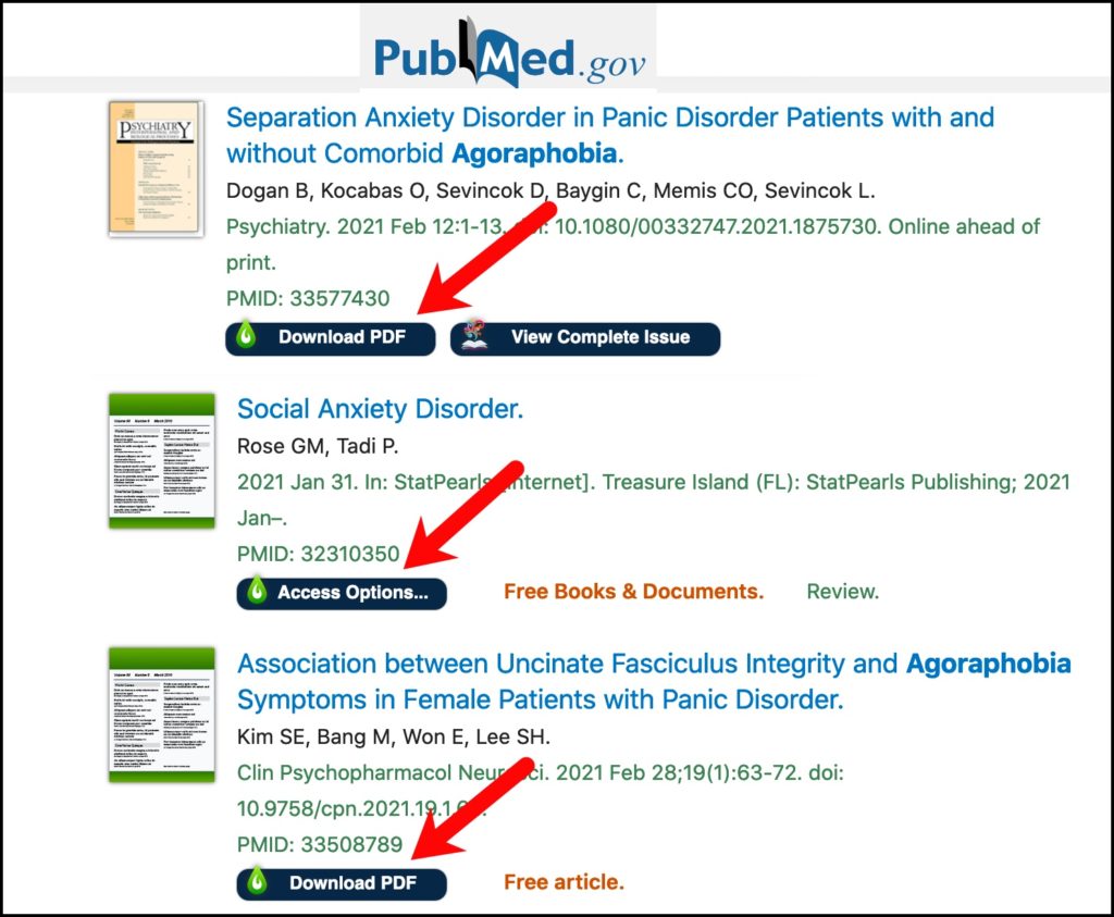 Screenshot of PubMed search results