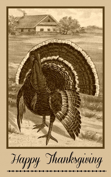 Vintage Turkey