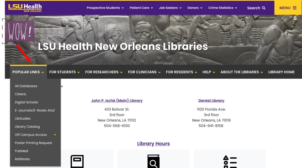 Screenshot of menus on webpage
