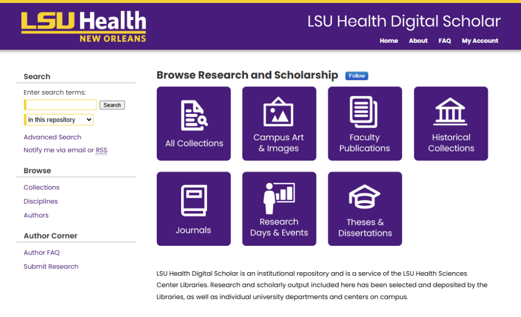 Image of Digital Scholar webpage