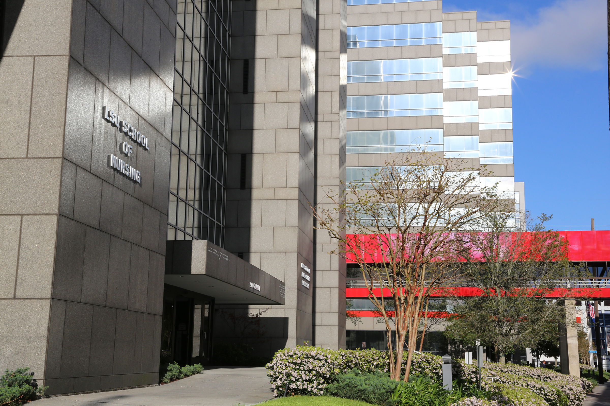 LSU Health Sciences Center