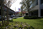 LSU Health New Orleans Campus flag