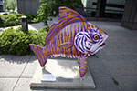 Tiger fish