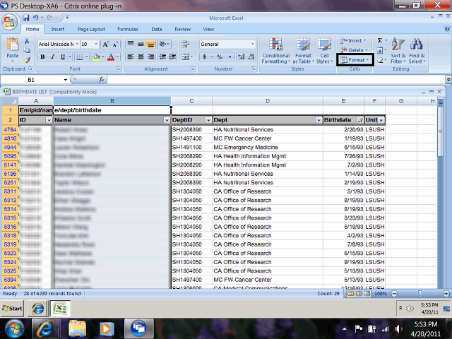 Screen image of this step
