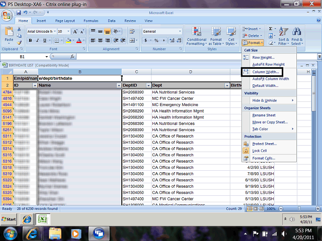 Screen image of this step