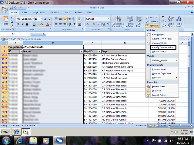 Screen image of this step