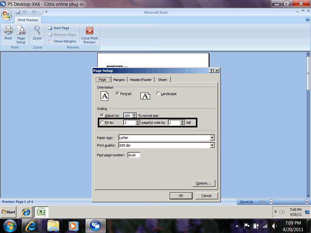 Screen image of this step