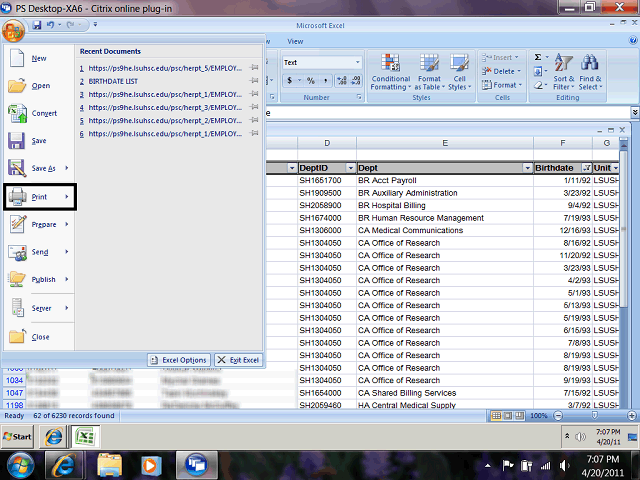Screen image of this step