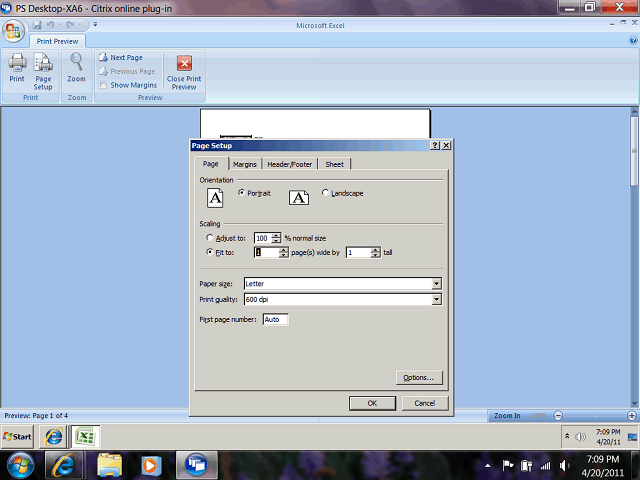 Screen image of this step