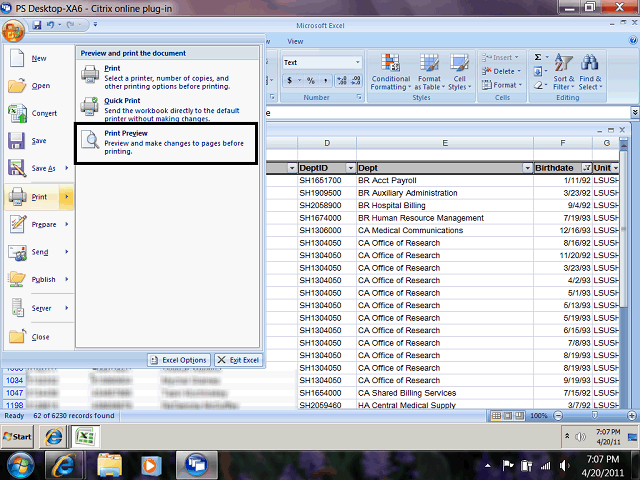 Screen image of this step