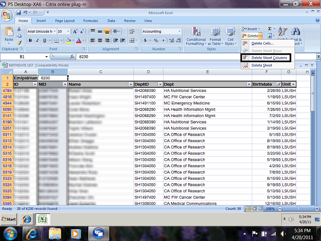 Screen image of this step